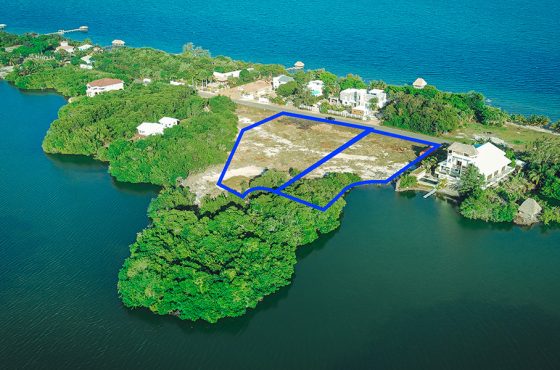 2 Massive Lots for Sale