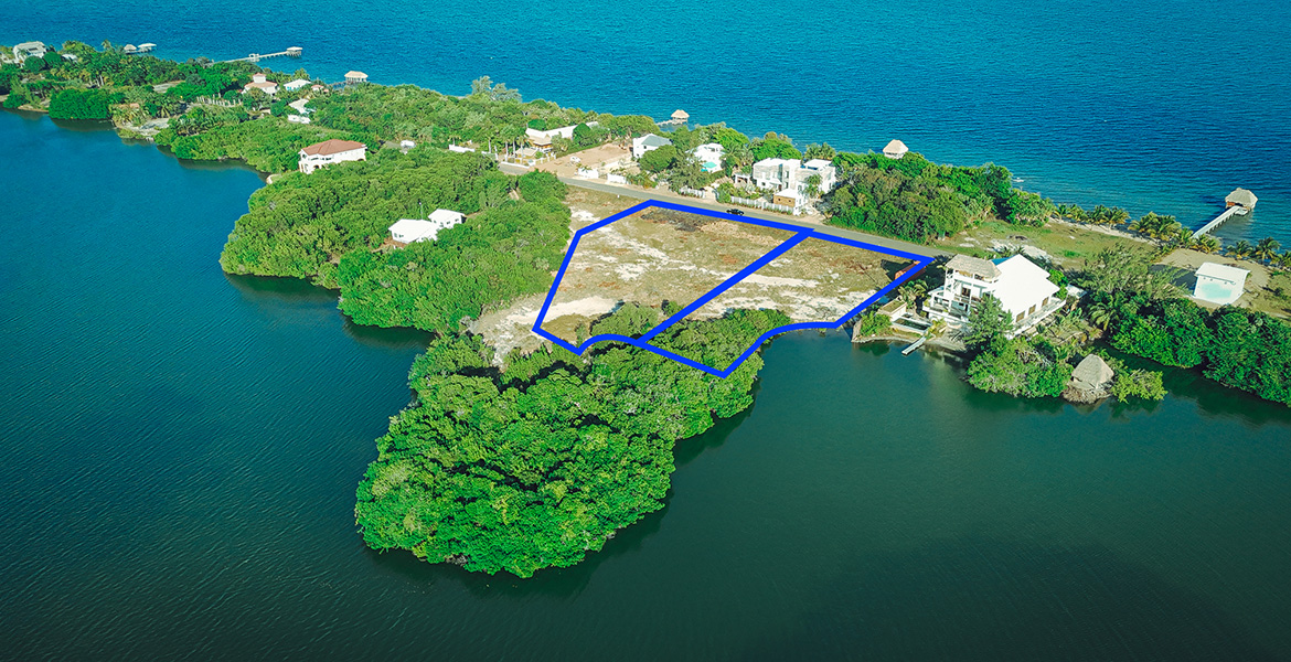 2 Massive Lots for Sale