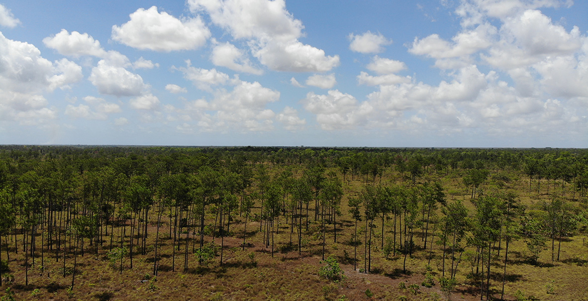 25 Acres of Pristine Savannah