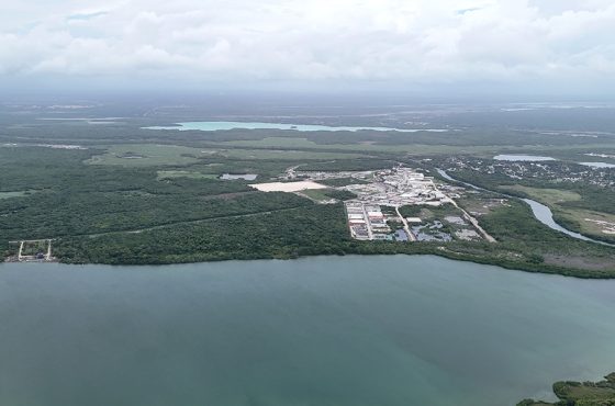 20 Acre Agricultural Opportunity Near Chetumal