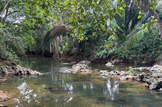 River Lots for Sale in Excalibur Park