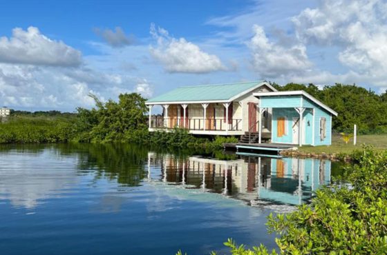 The Placencia Real Estate Market